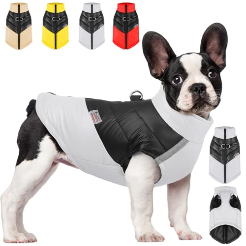 YOUYIKE Welpen Jacken Warm, Warme Haustier Jacke, Halbtarnung Hundemantel Hundejacke Wasserdicht, Haustier Kleidung Winterjacke Hunde Mantel für Kleine Mittlere (grau, L) von YOUYIKE