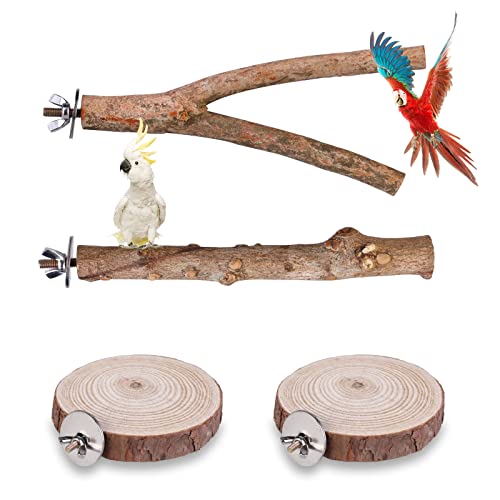 YOYIAG Sitzstangen für Wellensittiche Vogelkäfig Zubehör 4 Stück Sitzstangen für Wellensittiche Natur Sitzstangen Vögel Holz Spielzeug Vogel Papagei Schaukel Spielzeug für Wellensittich Kanarienvogel von YOYIAG