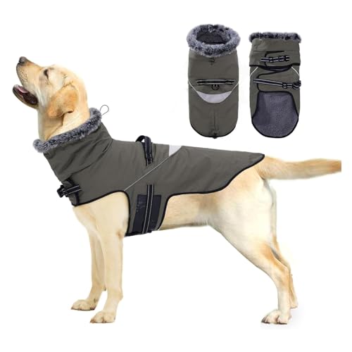 Hund Kaninchen Plüsch Ausschnitt Winter Hund Kleidung Verdickte Thermische Rollkragen Haustier Weste Britischen Gentleman Stil Große Hund Baumwolle Kleidung,B,XXL von YPDOPORA