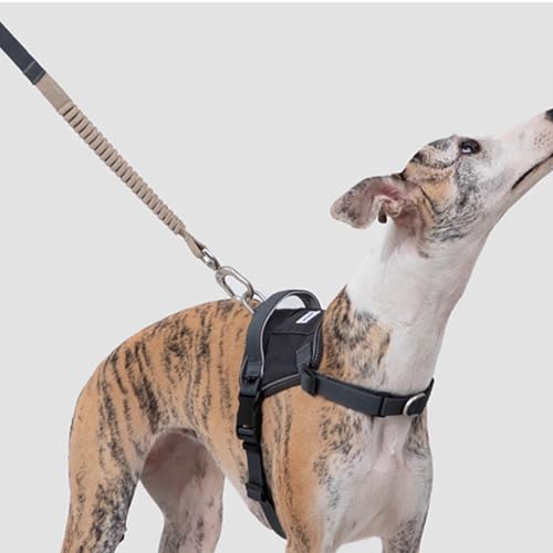 Verstellbares Hundegeschirr, No-Pull-Frontclip, Hundegeschirr Mit 2 Leinenverbindungspunkten, Gepolstert, Reflektierendes All-In-One-Hundegeschirr Für Einfaches Spazierengehen Und Training,Grau,L von YPDOPORA