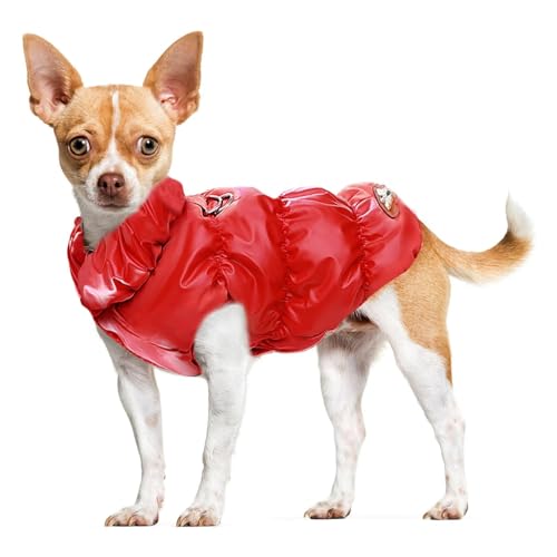 Warme Winter-Hundejacke Für Kleine Und Mittelgroße Hunde, Katzen, Mäntel Für Kaltes Wetter Mit Geschirr, Gepolsterte Hunde-Fleeceweste, wasserdichte, Winddichte Hunde-Schneejacke,G,M von YPDOPORA