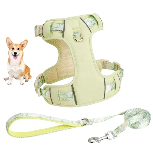 YPDOPORA Hundegeschirr Für Kleine Hunde, No Pull Hundegeschirr Mit 2 Leinenclips, Easy Walk Hundegeschirr Kleiner Hund, Welpengeschirr, Verstellbares Hundewestengeschirr,Grün,2XS von YPDOPORA