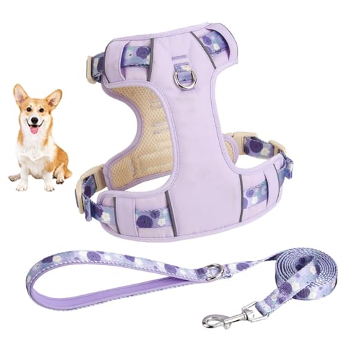 YPDOPORA Hundegeschirr Für Kleine Hunde, No Pull Hundegeschirr Mit 2 Leinenclips, Easy Walk Hundegeschirr Kleiner Hund, Welpengeschirr, Verstellbares Hundewestengeschirr,Lila,2XS von YPDOPORA