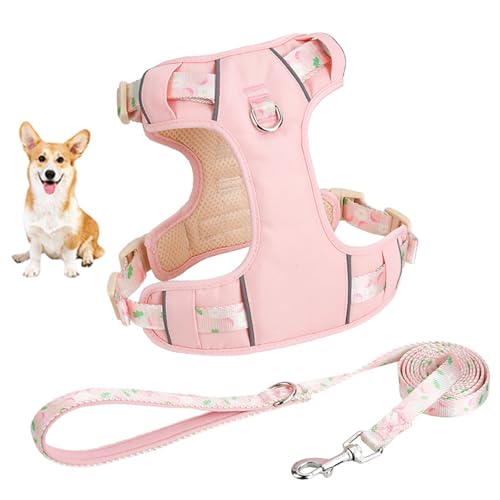 YPDOPORA Hundegeschirr Für Kleine Hunde, No Pull Hundegeschirr Mit 2 Leinenclips, Easy Walk Hundegeschirr Kleiner Hund, Welpengeschirr, Verstellbares Hundewestengeschirr,Rosa,2XS von YPDOPORA