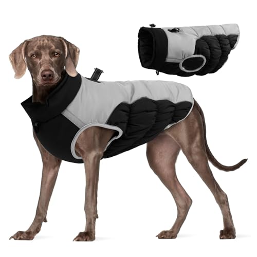 YPDOPORA Hundejacke, Wintermantel Mit Seil, Hundeleine-Set, Reflektierende Weste Für Hunde, Kaltes Wetter, Schneemäntel, Warme Kleidung, Jacken Mit Reißverschluss,A,3XL von YPDOPORA