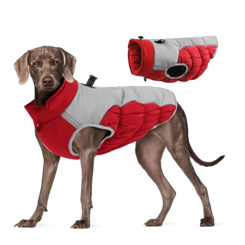 YPDOPORA Hundejacke, Wintermantel Mit Seil, Hundeleine-Set, Reflektierende Weste Für Hunde, Kaltes Wetter, Schneemäntel, Warme Kleidung, Jacken Mit Reißverschluss,B,6XL von YPDOPORA