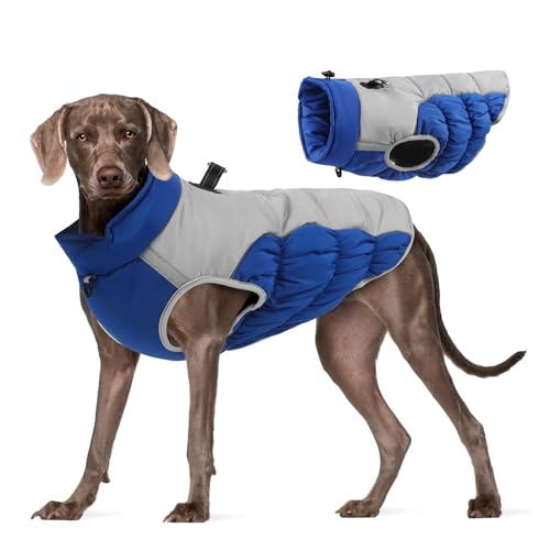 YPDOPORA Hundejacke, Wintermantel Mit Seil, Hundeleine-Set, Reflektierende Weste Für Hunde, Kaltes Wetter, Schneemäntel, Warme Kleidung, Jacken Mit Reißverschluss,C,6XL von YPDOPORA