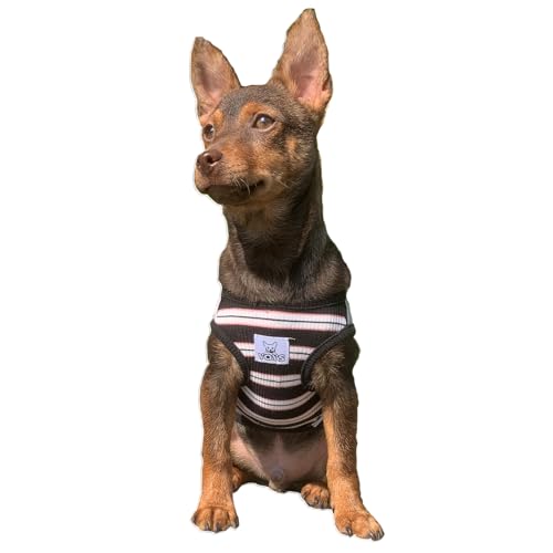 YQYS Hunde-Shirts, mehrfarbig, gestreift, Baumwolle, Weste für kleine Hunde und Katzen, Welpenkleidung, Teetasse, Hundekleidung, Tanktop für Chihuahua, Zwergpinscher, Schwarz, Größe XS von YQYS