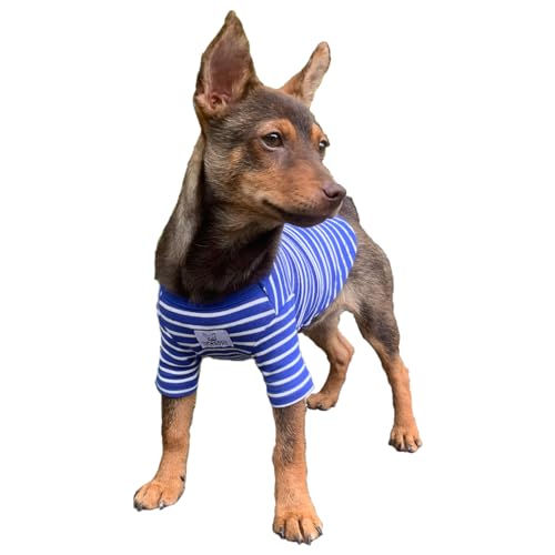 YQYS Haustier-Hunde-T-Shirts, Baumwoll-T-Shirt für kleine Hunde und Katzen, gestreifte Welpenkleidung, Hundebekleidung für Welpen, Jungen, Mädchen, Teetasse, Hundekleidung für Chihuahua, Yorkie, von YQYS