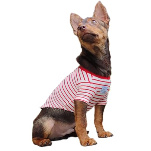 YQYS Haustier-Hunde-T-Shirts, Baumwoll-T-Shirt für kleine Hunde und Katzen, gestreifte Welpenkleidung, Hundebekleidung für Welpen, Jungen, Mädchen, Teetasse, Hundekleidung für Chihuahua, Yorkie, von YQYS