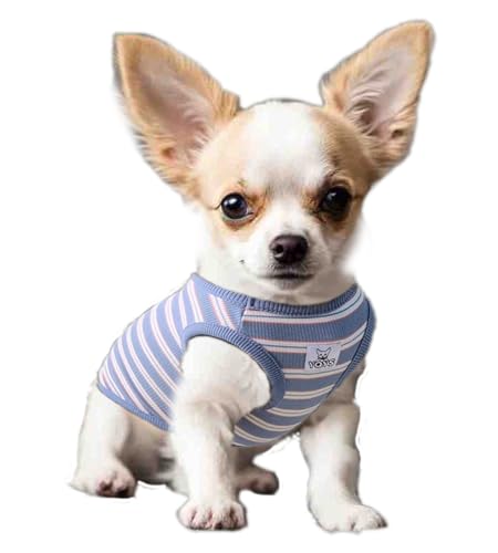 YQYS Hunde-Shirts, mehrfarbig, gestreift, Baumwolle, Weste für kleine Hunde und Katzen, Welpenkleidung, Teetasse, Hundekleidung, Tanktop für Chihuahua, Zwergpinscher, Blau, Größe L von YQYS