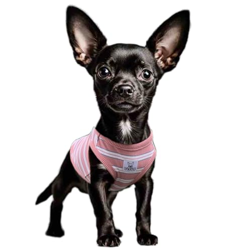 YQYS Hunde-Shirts, mehrfarbig, gestreift, Baumwolle, Weste für kleine Hunde und Katzen, Welpenkleidung, Teetasse, Hundekleidung, Tanktop für Chihuahua, Zwergpinscher, Rosa, Größe L von YQYS
