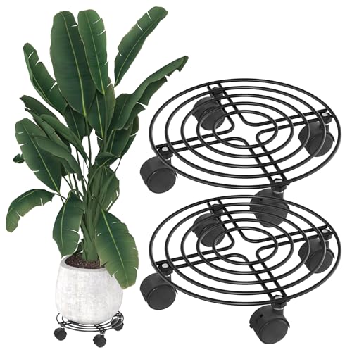 YRHome 2 Stück Pflanzenroller Metall Blumenroller Schwarz für Außenbereich & Innenbereich Blumentopf Untersetzer mit Rollen Pflanzen Caddy mit Rädern Pflanze Roller Basis - Rund Ø30cm - Bis 150KG YRHome 2 Stück Pflanzenroller Metall Blumenroller Schwarz für Außenbereich & Innenbereich Blumentopf Untersetzer mit Rollen Pflanzen Caddy mit Rädern Pflanze Roller Basis - Rund Ø30cm - Bis 150KG von YRHome