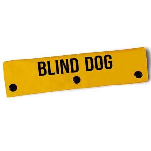 YROVWENQ Blind Dog Hundeleine, mit Sehbehinderung, gelber Warnung und Erkennungsmarke zum Aufhängen, durchdachte Geschenkidee für Haustiergeburtstage und mehr (Blindhundehülse) von YROVWENQ