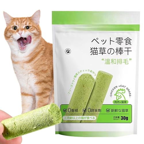 YRTUOP Katzengras Snack, Katzen Kauhölzer Katzenminze Cat Grass Teething Sticks Für Katzen Für Die Zahnpflege Und Haarknäuel Entfernen von YRTUOP