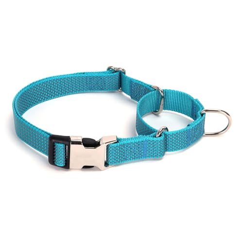 YSHOME&PET Reflektierendes Martingale-Hundehalsband mit Schnellverschluss-Schnalle, verstellbar, weiches Nylon, rutschfest, für kleine, mittelgroße und große Hunde von YSHOME&PET