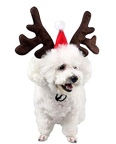 Hund Weihnachten Rentiergeweih Stirnband Hundekleidung, Haustier Kostümzubehör, Haustier Weihnachtsdekoration Mode Geweih Hut Partei Hundekostüm, Weihnachtsgeweih für Hunde und Katzen von YST