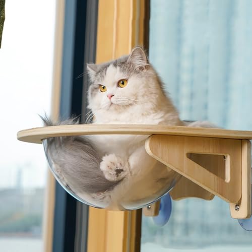 YUDIZWS Transparente Katze Fenster Hängematte Bett Schnurlose Perch Acryl Klar Katze Regal für Schlafen Spielen und Faulenzen Hält Bis zu 15kg,Clear von YUDIZWS
