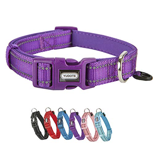 YUDOTE Hundehalsband Starkes, Reflektierendes Nylongewebe mit Weichem, Bequemem, Neopren-gepolstertem Futter für den Täglichen Gebrauch von Kleine Hunde,Lila von YUDOTE