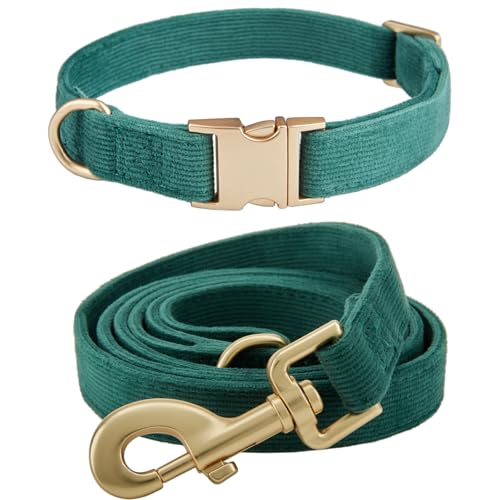 YUDOTE Hundehalsband und Leine Set Mittel, Weiche Reizfreie Cord-Halsband-Leine Passende Combo für Den Täglichen Spaziergang, Grün von YUDOTE