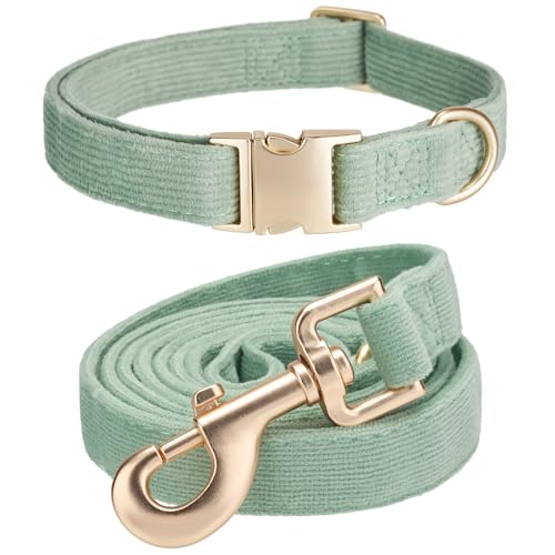 YUDOTE Hundehalsband und Leine Set Klein, Weiche Reizfreie Cord-Halsband-Leine Passende Combo für Den Täglichen Spaziergang, Salbeigrün von YUDOTE