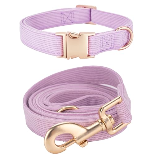 YUDOTE Hundehalsband und Leine Set Klein, Weiche Reizfreie Cord-Halsband-Leine Passende Combo für Den Täglichen Spaziergang, Lila von YUDOTE