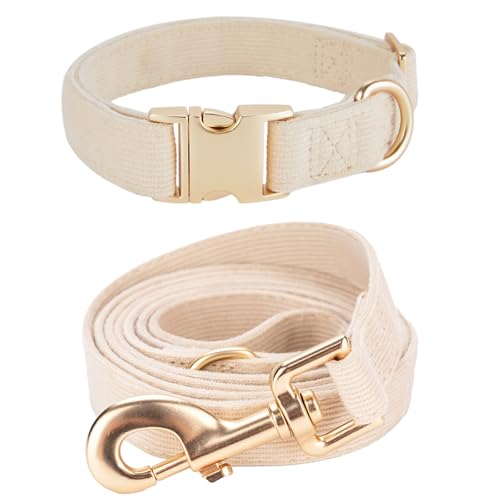 YUDOTE Hundehalsband und Leine Set Mittel, Weiche Reizfreie Cord-Halsband-Leine Passende Combo für Den Täglichen Spaziergang, Cremeweiß von YUDOTE