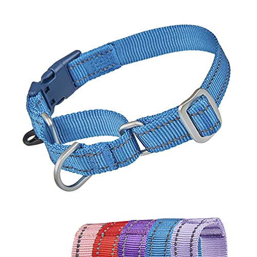 YUDOTE Reflektierende Martingale Hundehalsbänder, ausbruchsicheres Anti-Zug-Trainingshalsband mit Sicherheits-Schnellverschluss für schmale Kopfhunde erleichtern das Gehen,Mittel,Blau von YUDOTE