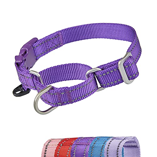 YUDOTE Reflektierende Martingale Hundehalsbänder,ausbruchsicheres Anti-Zug-Trainingshalsband mit Sicherheits-Schnellverschluss für schmale Kopfhunde erleichtern das Gehen,Groß,Violett von YUDOTE