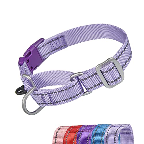 YUDOTE Reflektierende Martingale Hundehalsbänder,ausbruchsicheres Anti-Zug-Trainingshalsband mit Sicherheits-Schnellverschluss für schmale Kopfhunde erleichtern das Gehen,Mittel,Lavendel von YUDOTE