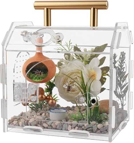 YUEHUA Acryl Terrarium Klar DIY Terrarium Box mit Fronttür Hausform Lebensraum Acryl Gehege für Insekten, Spinnen, Schnecken (15 x 12 x 14 cm) von YUEHUA