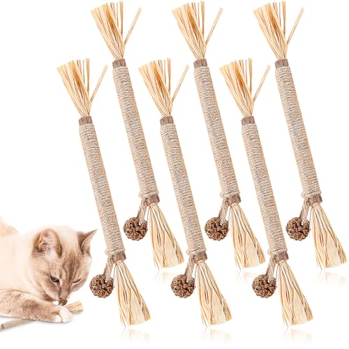 YUFFQOPC 6 Stück Matatabi Katzensticks,Katzensticks Zur Zahnreinigung Kausticks Set Katzenminze Spielzeug Matatabi Stick Katzenminze Sticks Zum Schleifen von Zähnen Für Katze Zu Spielen Beißen Kauen von YUFFQOPC