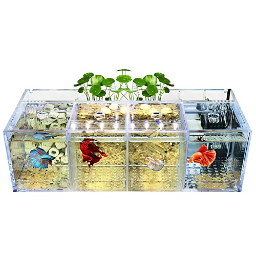 Betta Tank,Desktop-Aquarium,Betta Fish Breeding Incubator Isolation Box Desktop-Zucht Dekorative Landschaft Acryl Ökologische Kreativität von YULonni