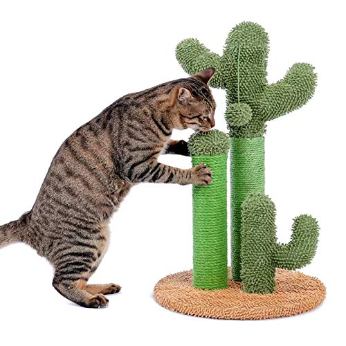 YUNDING Netter Kaktus-Haustier-Kratzbaum Mit Ballspielzeug Scratcher-Beiträge für Katzen Kätzchen Kletterbaum Katzenspielzeug Möbel Schützen(Color:B,Size:L.) von VWPEYY