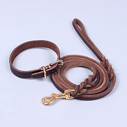 Halsband Für Haustiere Halsband Hund Haustier Halsband Kleiner Hund Rindsleder Halsband Leine Welpen Hündchen Teddy Pudel Leder Halsumfang Walking Haustier Hund Seil,Blume Tragen,Großer Halsumfang 34- von YUNHOME