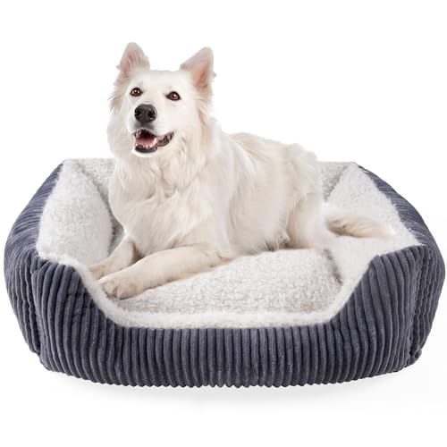 YUNIQUE Hundesofa, Kuschelbett für Welpen, Hund und Katze, Beige Beige, Größe L von YUNIQUE