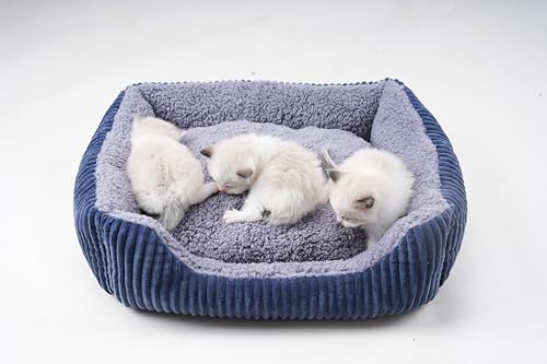 YUNIQUE Hundesofa, Kuschelbett für Welpen, Hund und Katze, Beige Beige, Größe M von YUNIQUE