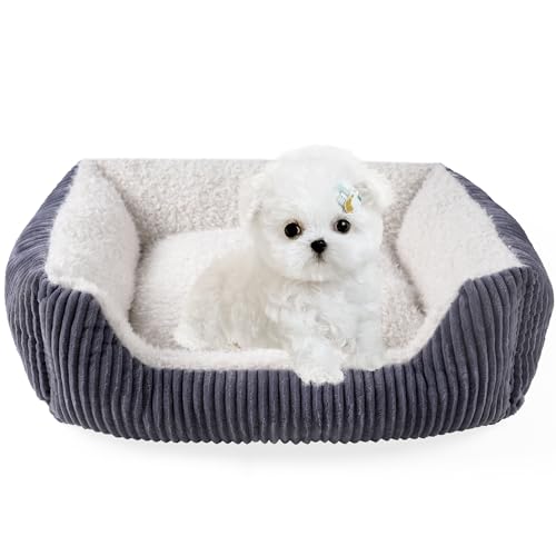 YUNIQUE Hundesofa, Kuschelbett für Welpen, Hund und Katze, Beige Beige, Größe S von YUNIQUE