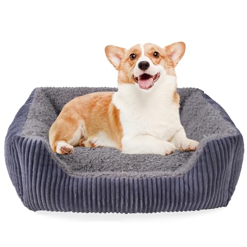 YUNIQUE Hundesofa, Kuschelbett für Welpen, Hund und Katze, Beige Grau, Größe M von YUNIQUE