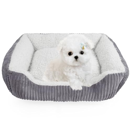 YUNIQUE Hundesofa, Kuschelbett für Welpen, Hund und Katze, Grau Beige, Größe S von YUNIQUE