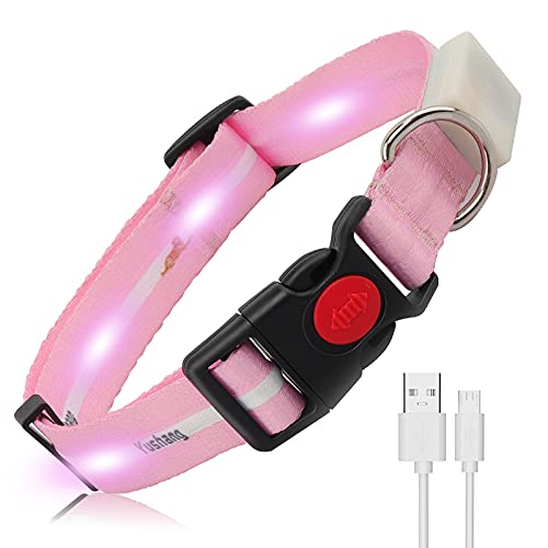 YUSHANG LED Hundehalsband,Blinkendes LED Hundehalsband Wiederaufladbares Wasserdicht,Für Halsumfang 15-24Zoll Verstellbares Beleuchtetes Hundehalsband (Rosa) von YUSHANG