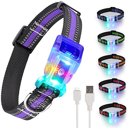 YUSHANG Side Release Schnalle LED Hundehalsband,reflektierende Nachtlicht Up Hundehalsband,USB wiederaufladbare wasserdichte Hundehalsband Licht (L (Hals:14.17-24,8",Bandbreite:1"), Lila) von YUSHANG