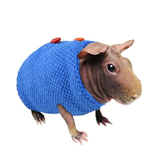 Pullover für haarlose Meerschweinchen-Kleidung, schützt die Haut vor Schäden und hält sie warm. von YUYUSO