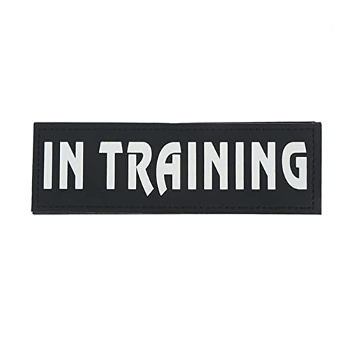 2 STÜCKE Personalisiertes Reflektierendes Etikett Benutzerdefiniertes Hundenamensschild Hundenamensschild Hundehalsbandanhänger Aufkleber Haustiertraining Patch Tag,IN Training,11X3CM von YVDY