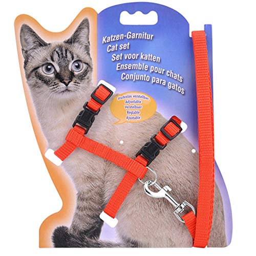 Komfortables Nylon-Haustierhalsband verstellbares Haustier-Katzenhalsband-Haustierleine-Set Hund Katzenzubehör Heimtierbedarf-Rot_Gewicht_innerhalb_5kg von YVDY