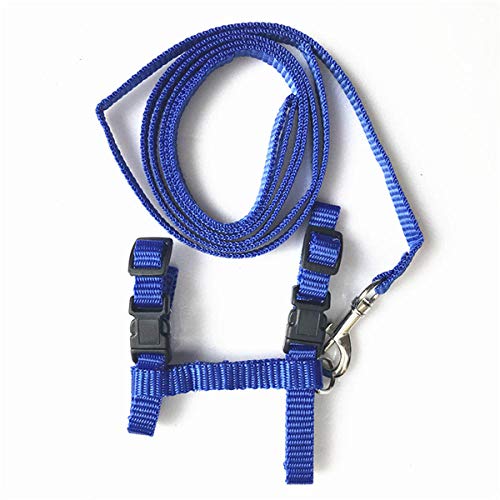 Nylon Haustier Katzenweste und Leine Set Verstellbares Katzenhalsband SHU Pet Carrier Pet Leine Zubehör Katzenhalsband-Blau von YVDY