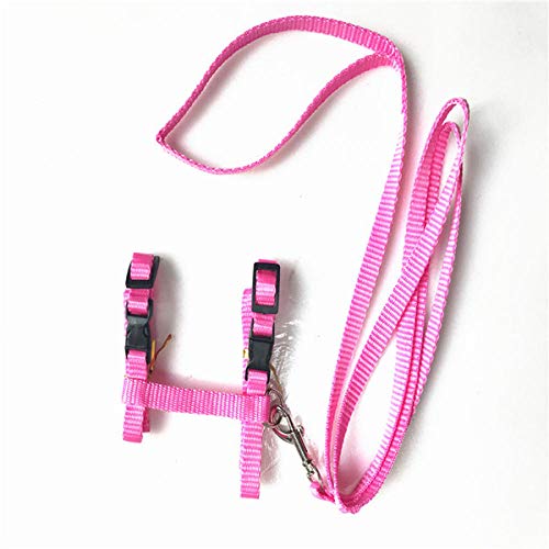 Nylon Haustier Katzenweste und Leine Set Verstellbares Katzenhalsband SHU Transportbox Haustierleine Zubehör Katzenhalsband-Rosa von YVDY