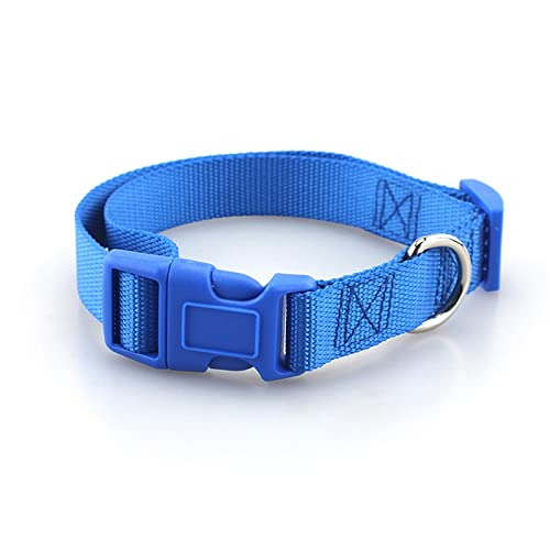 Nylon-Haustierhalsband, verstellbares Hundehalsband, personalisiertes Hundehalsband, einfarbiges Hundehalsband für kleine und mittelgroße Hunde, Chihuahuas,Blau,XS von YVDY