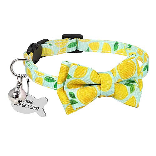 Personalisierte benutzerdefinierte gravierbare Katzenhalsband Druck Schnellverschluss Katzenhalsband Nylon Hundemarke Haustierhalsband mit Glocke Katzenhalsband-F von YVDY