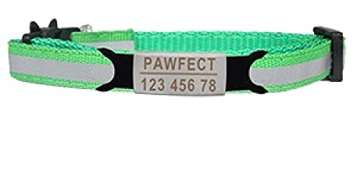 Personalisierte individuelle ID gravierbares Nylon Katzen- und Hundehalsband reflektierendes Katzensicherheitsschnallenhalsband verstellbares Hunde- und Katzenhalsband-Grün-Silber von YVDY